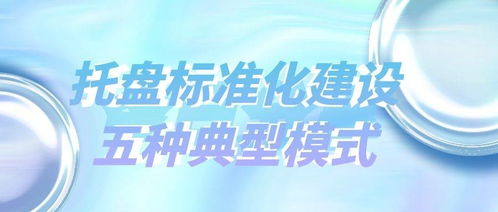 托盘标准化建设的五种典型模式及其租赁服务应用